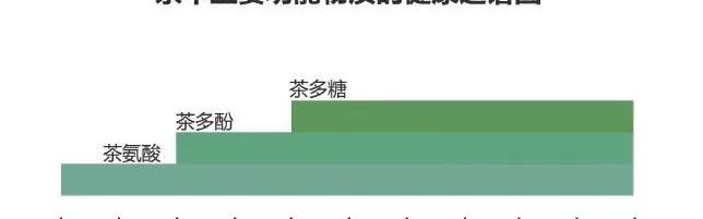  布雷斯特新帅首战告捷激活进攻体系  