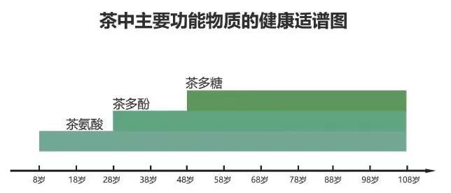  布雷斯特新帅首战告捷激活进攻体系  